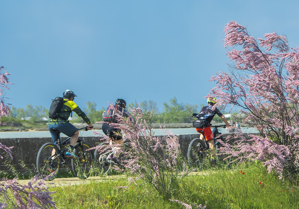 Camping Village in Cavallino Treporti (Venedig) – Fahrradverleih für Ausflüge