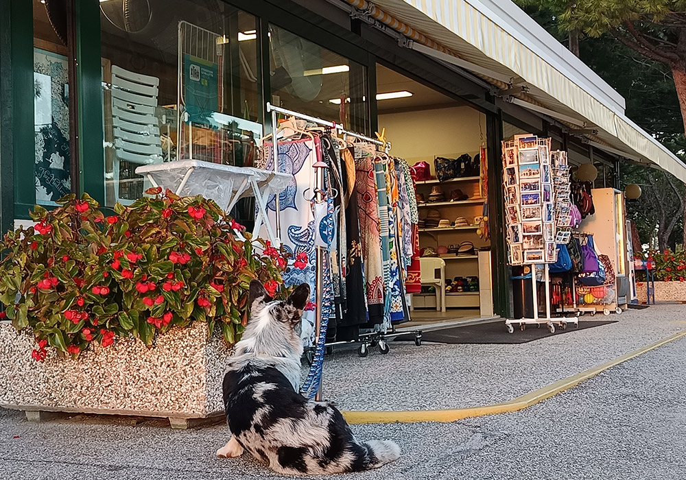 Camping Village in Cavallino Treporti (Venedig) - Geschäft